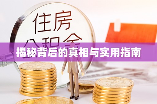 台南揭秘背后的真相与实用指南