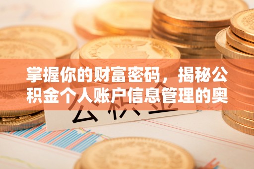 台南掌握你的财富密码，揭秘公积金个人账户信息管理的奥秘