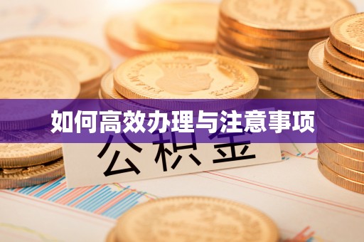 台南如何高效办理与注意事项