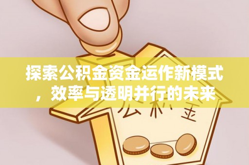 台南探索公积金资金运作新模式，效率与透明并行的未来