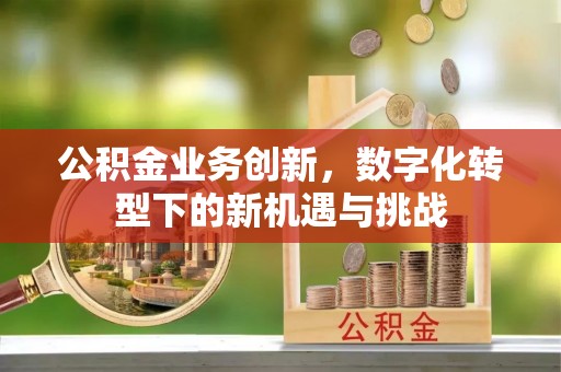 台南公积金业务创新，数字化转型下的新机遇与挑战