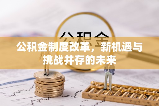 台南公积金制度改革，新机遇与挑战并存的未来