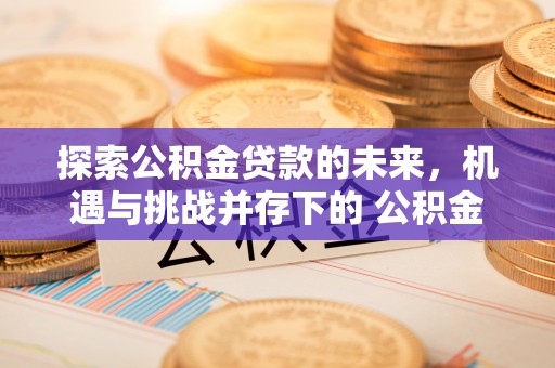 台南探索公积金贷款的未来，机遇与挑战并存下的 公积金贷款风险防控