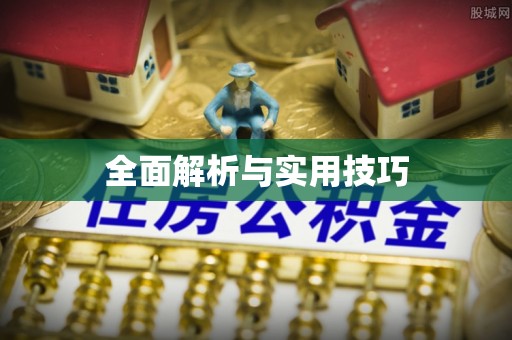 台南全面解析与实用技巧