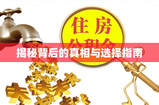 台南揭秘背后的真相与选择指南