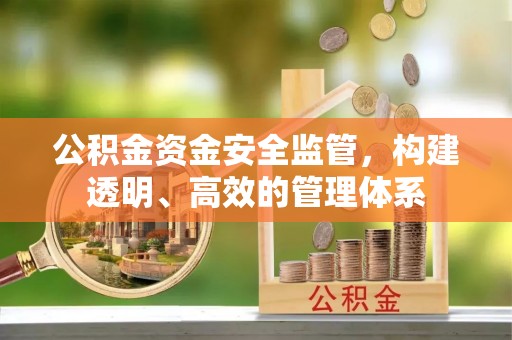 台南公积金资金安全监管，构建透明、高效的管理体系