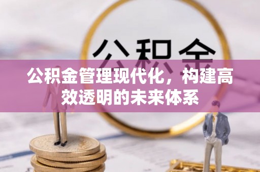 台南公积金管理现代化，构建高效透明的未来体系