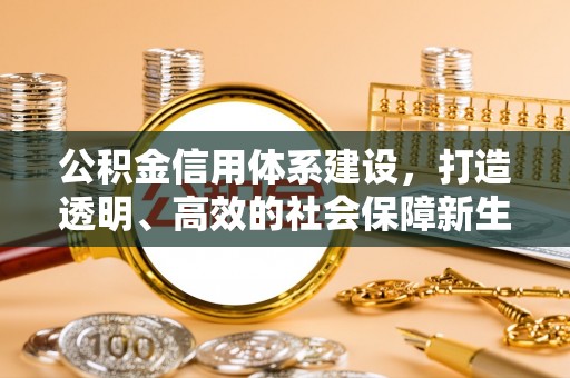 台南公积金信用体系建设，打造透明、高效的社会保障新生态