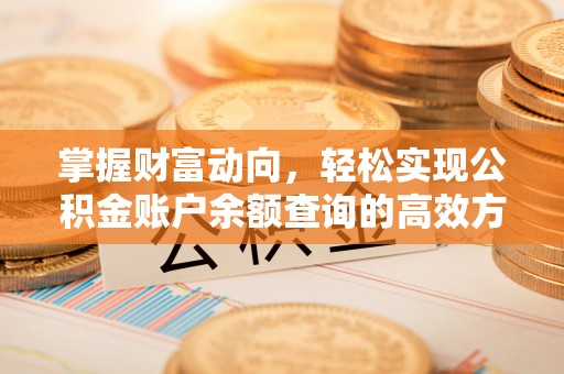 台南掌握财富动向，轻松实现公积金账户余额查询的高效方式