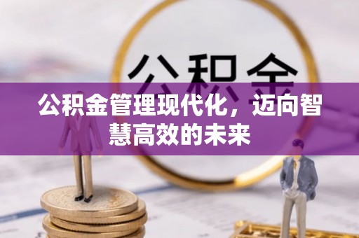 台南公积金管理现代化，迈向智慧高效的未来