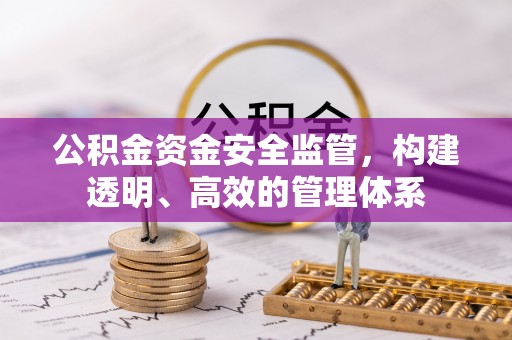 台南公积金资金安全监管，构建透明、高效的管理体系