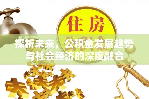 台南探析未来，公积金发展趋势与社会经济的深度融合