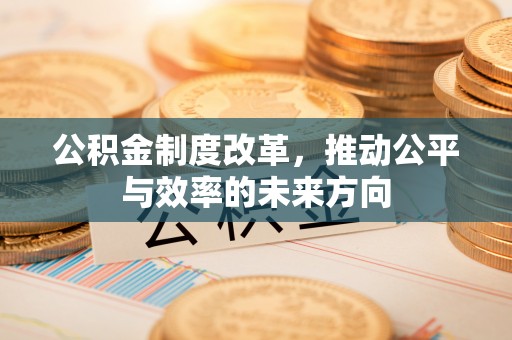 台南公积金制度改革，推动公平与效率的未来方向