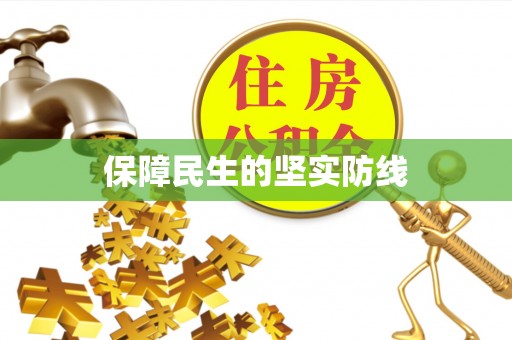 台南保障民生的坚实防线