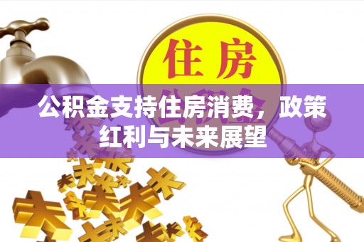 台南公积金支持住房消费，政策红利与未来展望