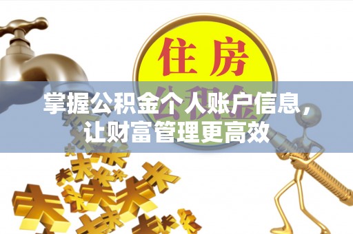 台南掌握公积金个人账户信息，让财富管理更高效