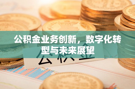 台南公积金业务创新，数字化转型与未来展望