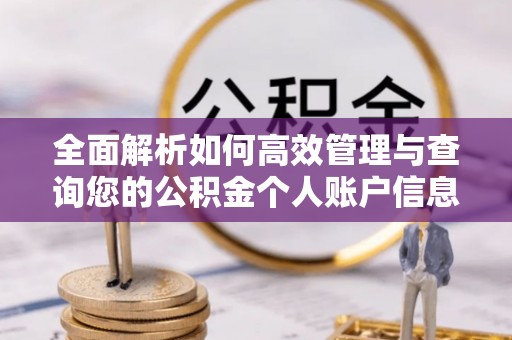 台南全面解析如何高效管理与查询您的公积金个人账户信息