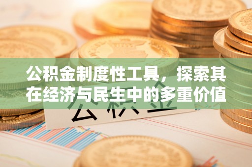 台南公积金制度性工具，探索其在经济与民生中的多重价值