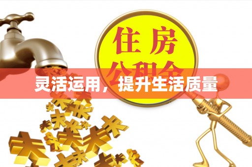 台南灵活运用，提升生活质量