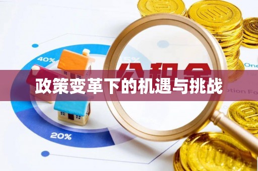 台南政策变革下的机遇与挑战