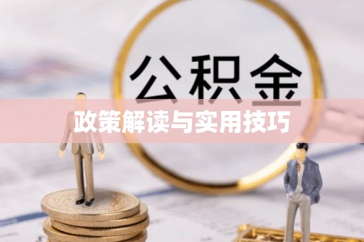 台南政策解读与实用技巧