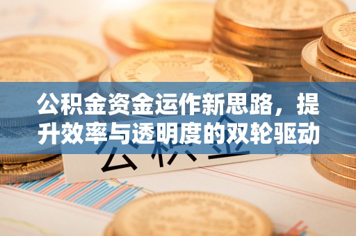 台南公积金资金运作新思路，提升效率与透明度的双轮驱动