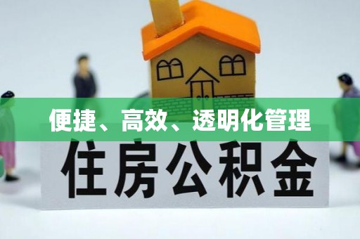 台南便捷、高效、透明化管理