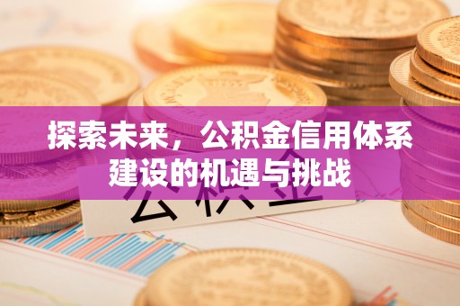 台南探索未来，公积金信用体系建设的机遇与挑战