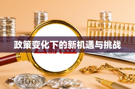 台南政策变化下的新机遇与挑战