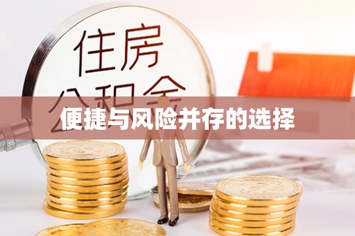 台南便捷与风险并存的选择