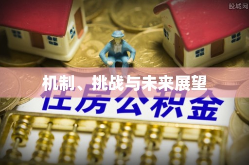 台南机制、挑战与未来展望