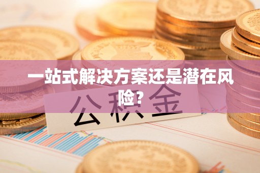 台南一站式解决方案还是潜在风险？