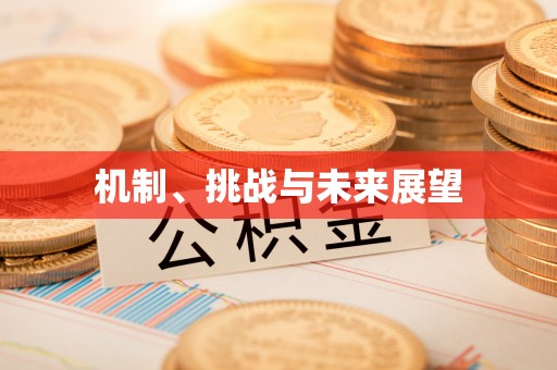 台南机制、挑战与未来展望